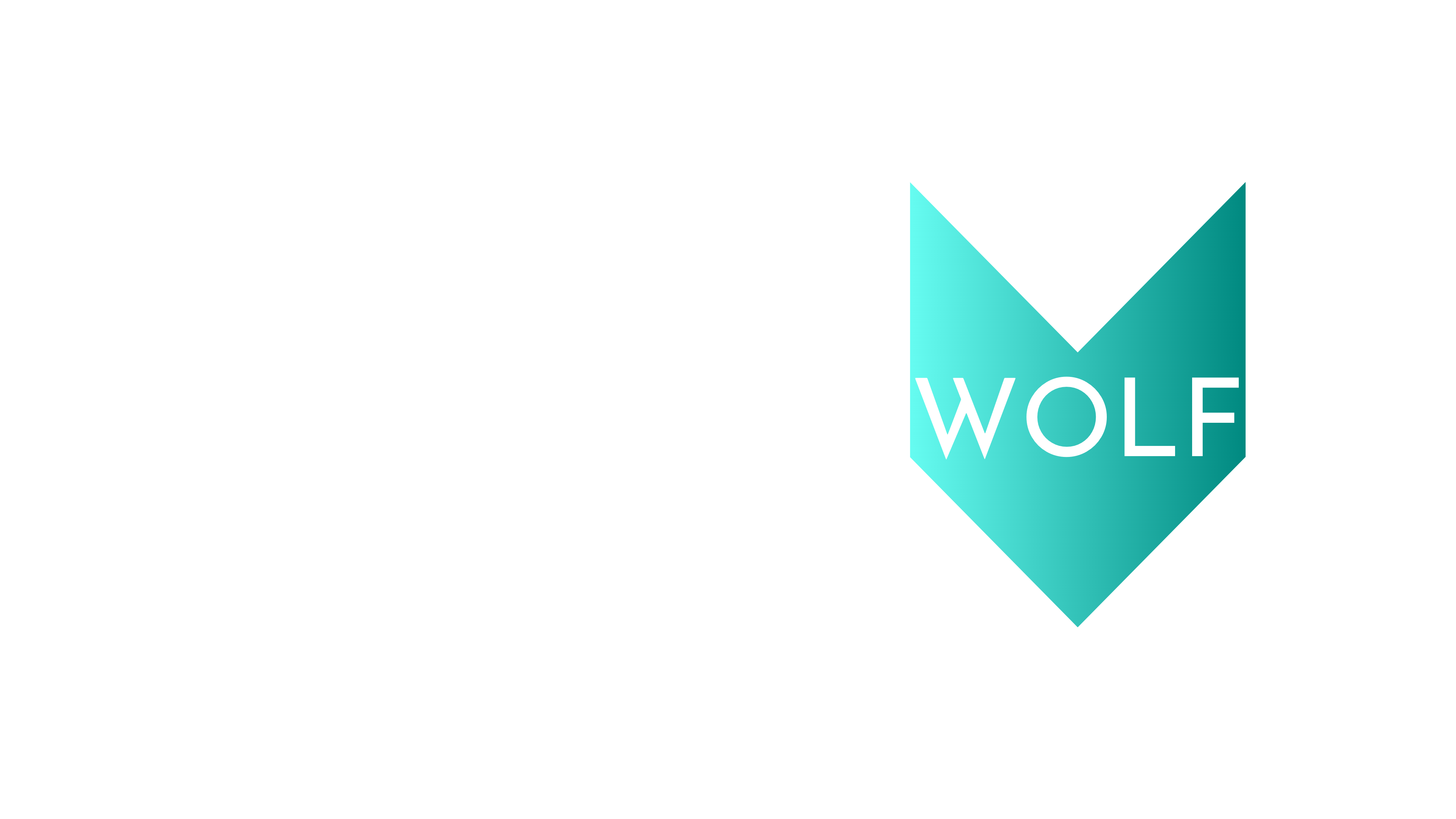 MeyerFritzWolf